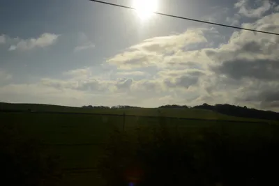 DSC_7178 (Large).JPG